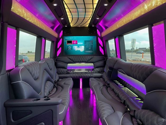Sprinter limo lounge with TV – Greenwood Village limo service