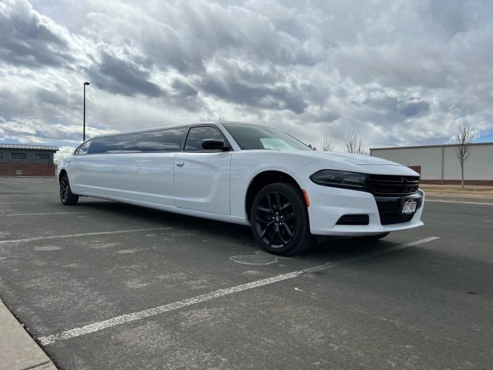 White stretch limo – Greenwood Village limo service